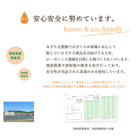【メール便ギフト】ゴクゴクすっきり 和紅茶ティーバッグ 2g×50p